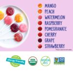 YumEarth Organic Vitamin C Pops Variety Pack, 60 Fruit Flavored Favorites Lollipops, Allergy Friendly, Gluten Free, Non-GMO, Vegan, No Artificial Dyes - Image 5